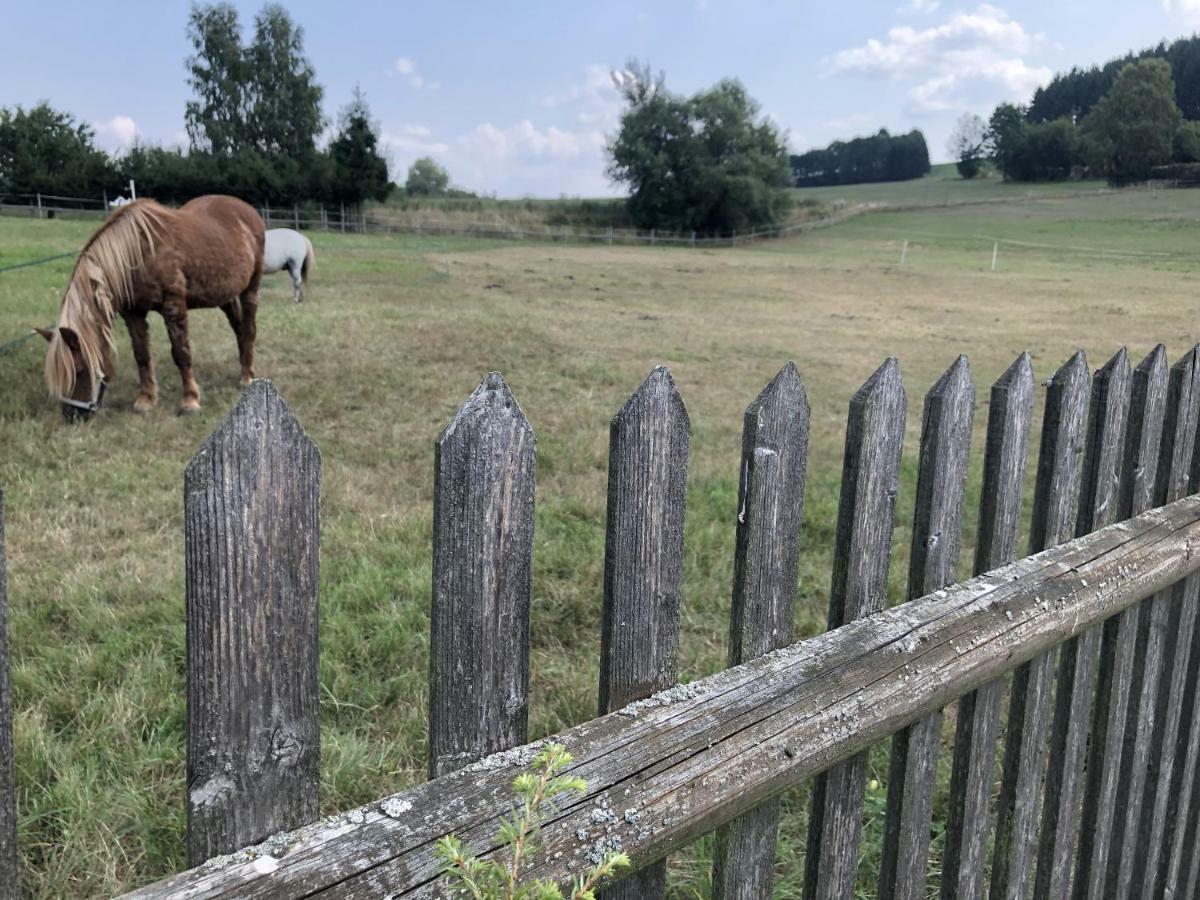 Ferienwohnung Landidyll Saalburg Esterno foto